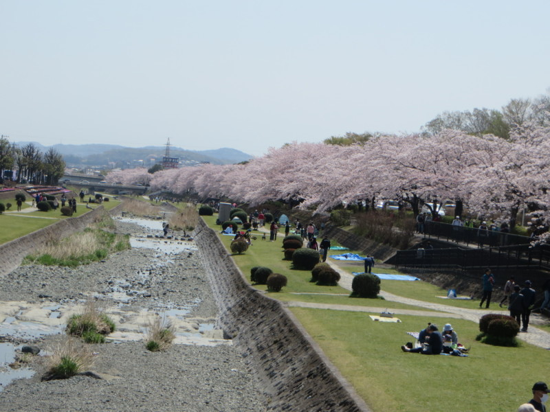 f:id:sasameyuki47:20180331104843j:image:w360 f:id:sasameyuki47:20180331104843j:image:w360
