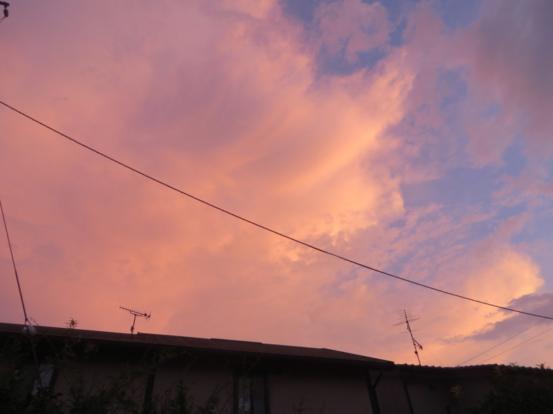 f:id:sasameyuki47:20180722190534j:image:w360 f:id:sasameyuki47:20180722190534j:image:w360
