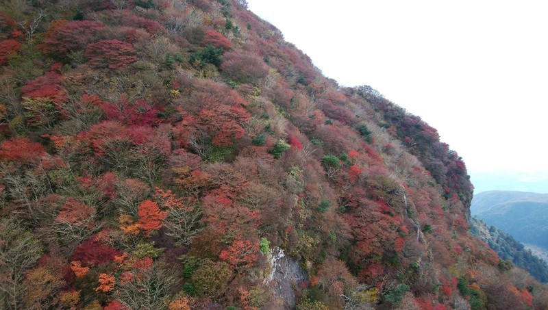 f:id:sasameyuki47:20181107191908j:image:w500 f:id:sasameyuki47:20181107191908j:image:w500
