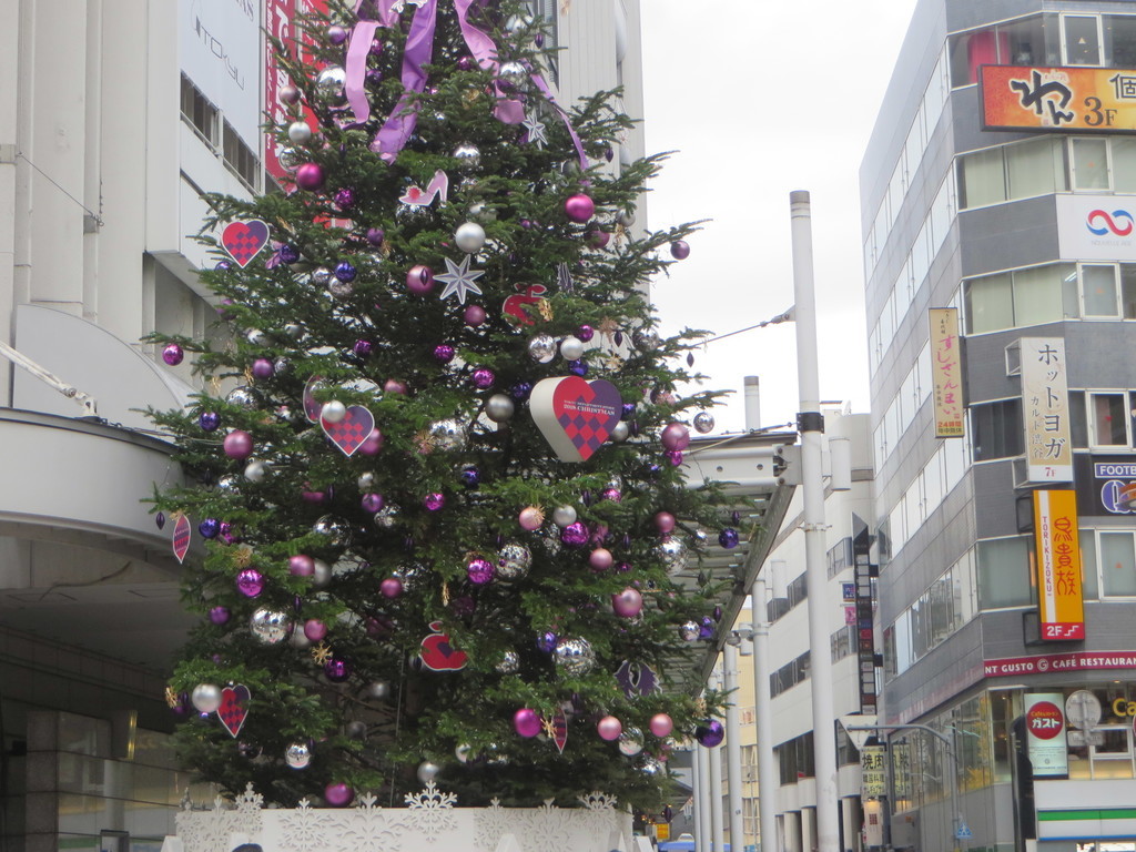 f:id:sasameyuki47:20181213130625j:plain f:id:sasameyuki47:20181213130625j:plain