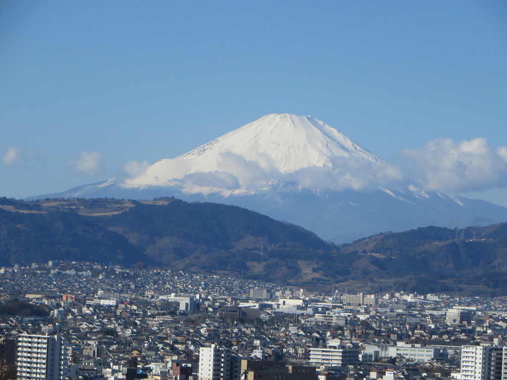 f:id:sasameyuki47:20190101103355j:plain