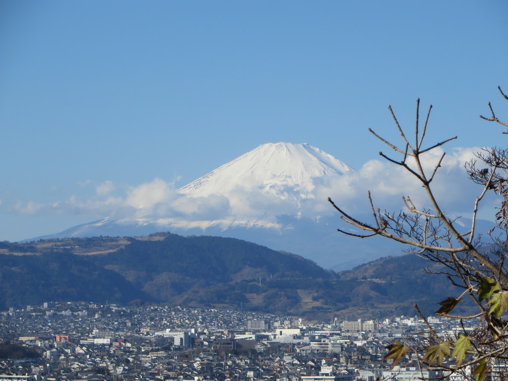 f:id:sasameyuki47:20190101103923j:plain