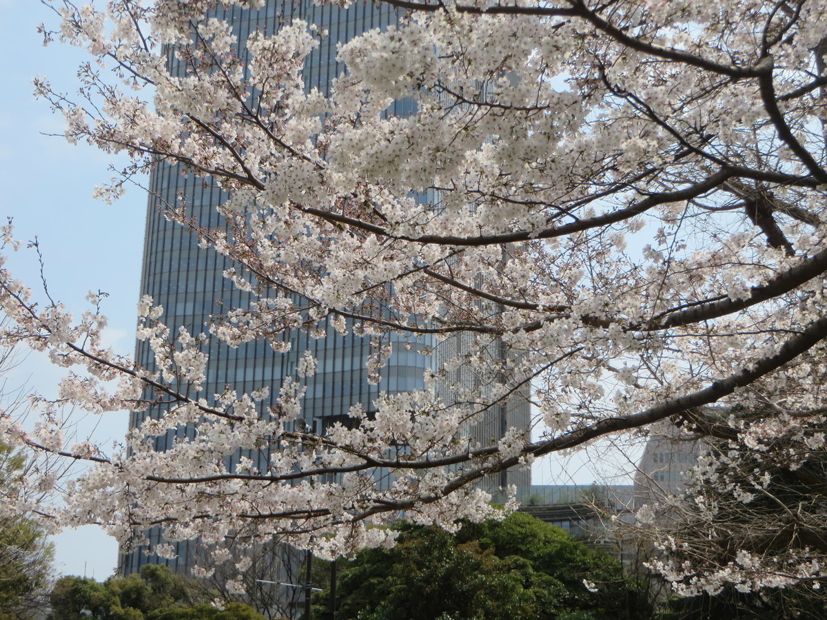 f:id:sasameyuki47:20190328113213j:plain f:id:sasameyuki47:20190328113213j:plain