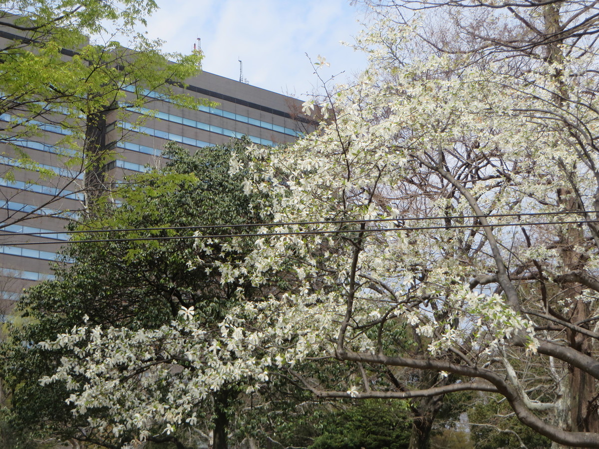 f:id:sasameyuki47:20190328113323j:plain f:id:sasameyuki47:20190328113323j:plain