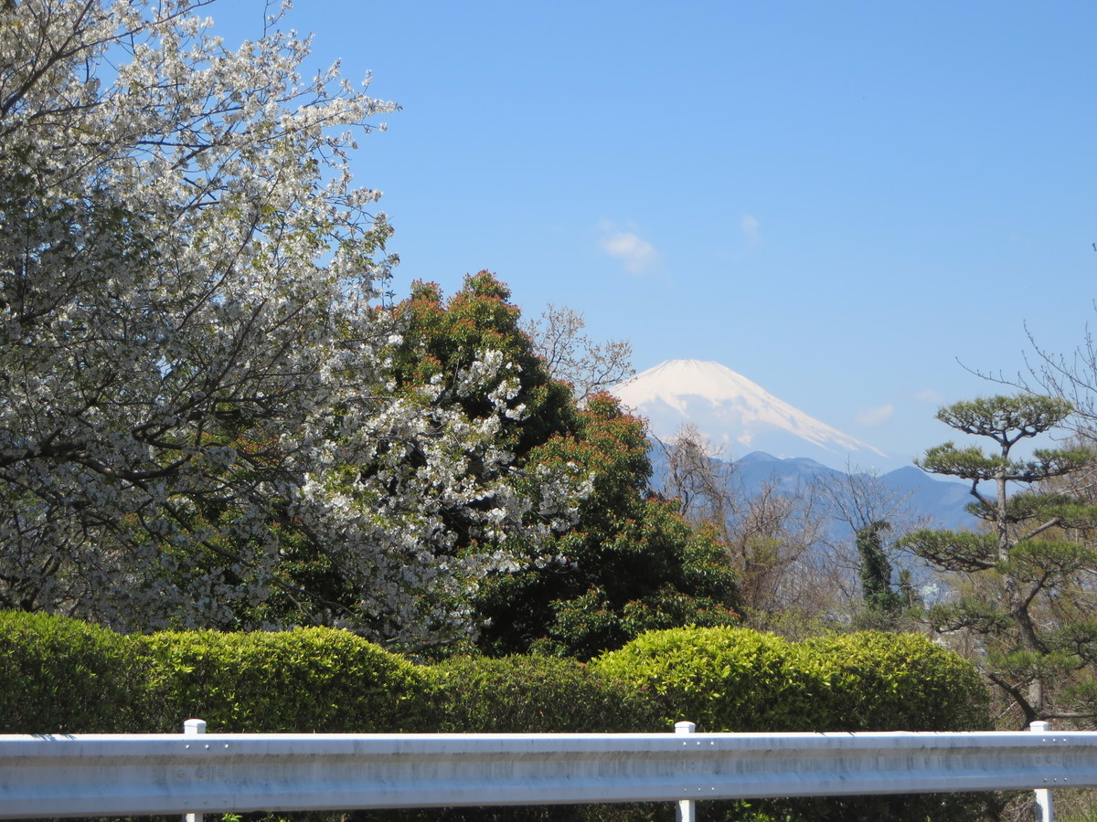 f:id:sasameyuki47:20190404104028j:plain f:id:sasameyuki47:20190404104028j:plain