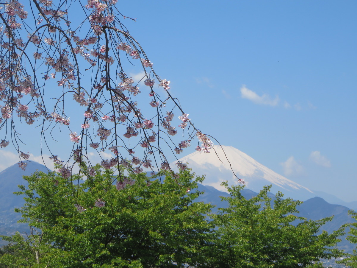 f:id:sasameyuki47:20190404104220j:plain f:id:sasameyuki47:20190404104220j:plain