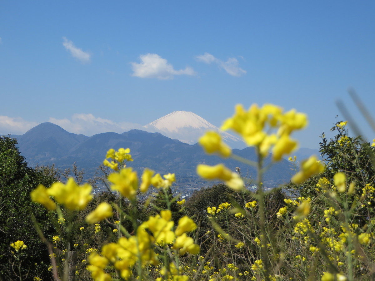 f:id:sasameyuki47:20190404105208j:plain f:id:sasameyuki47:20190404105208j:plain