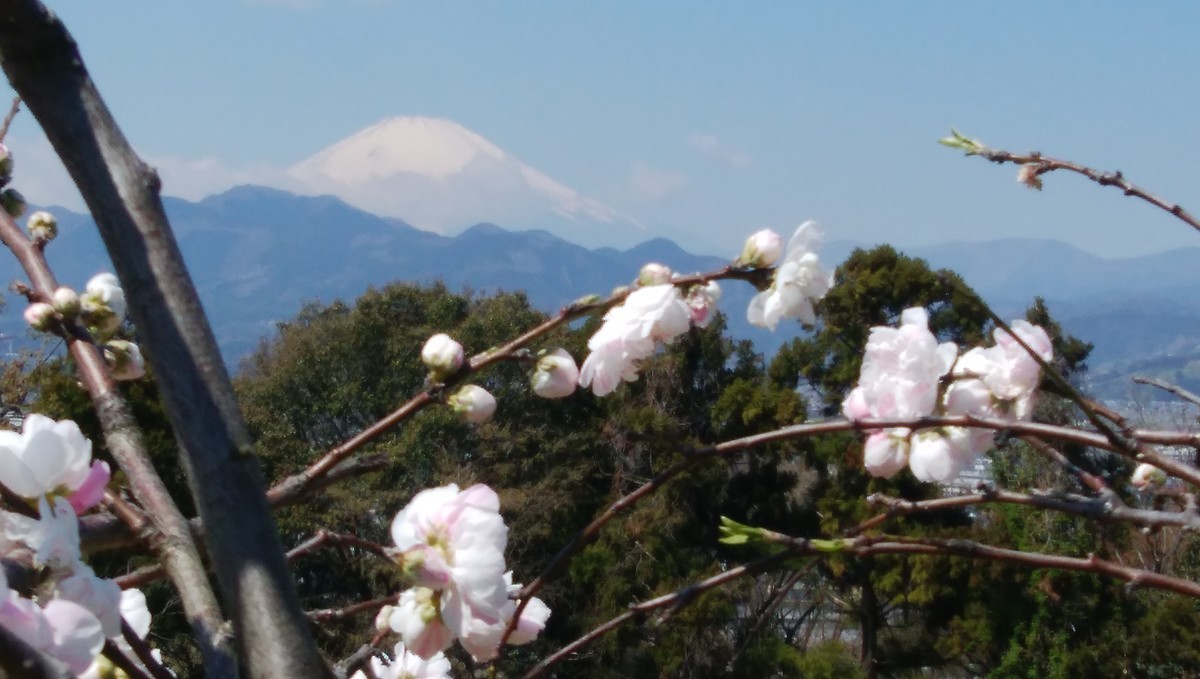 f:id:sasameyuki47:20190404105411j:plain f:id:sasameyuki47:20190404105411j:plain