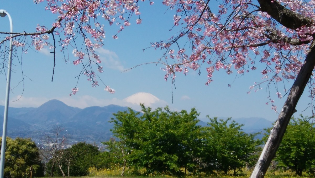 f:id:sasameyuki47:20190407103259j:plain f:id:sasameyuki47:20190407103259j:plain
