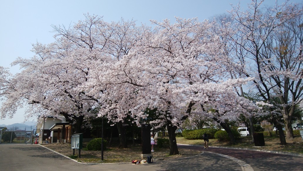f:id:sasameyuki47:20190411224354j:plain f:id:sasameyuki47:20190411224354j:plain