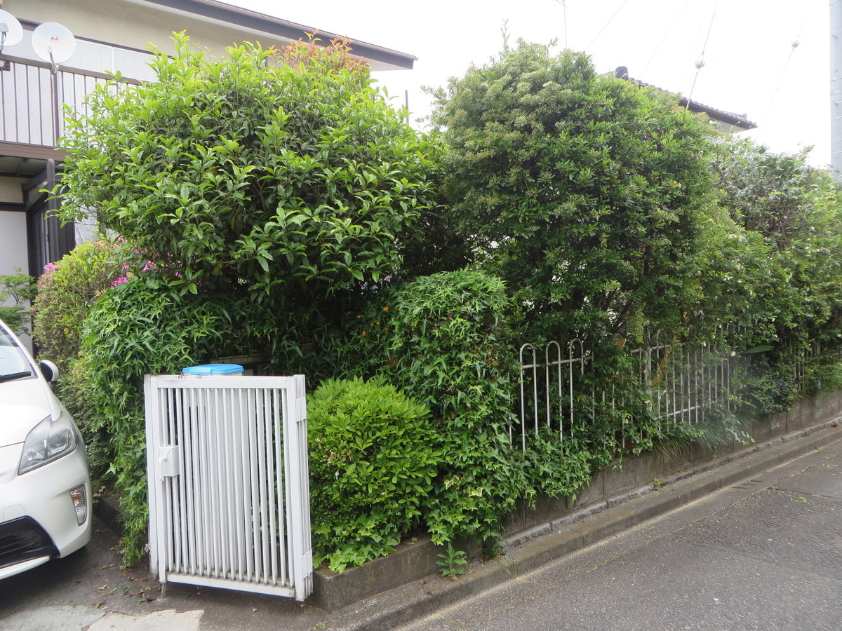 f:id:sasameyuki47:20190509124012j:plain