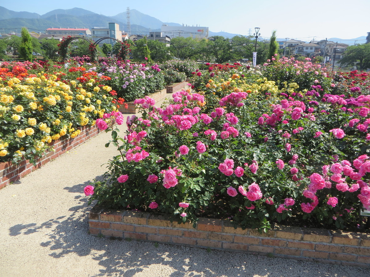 f:id:sasameyuki47:20190525084223j:plain f:id:sasameyuki47:20190525084223j:plain