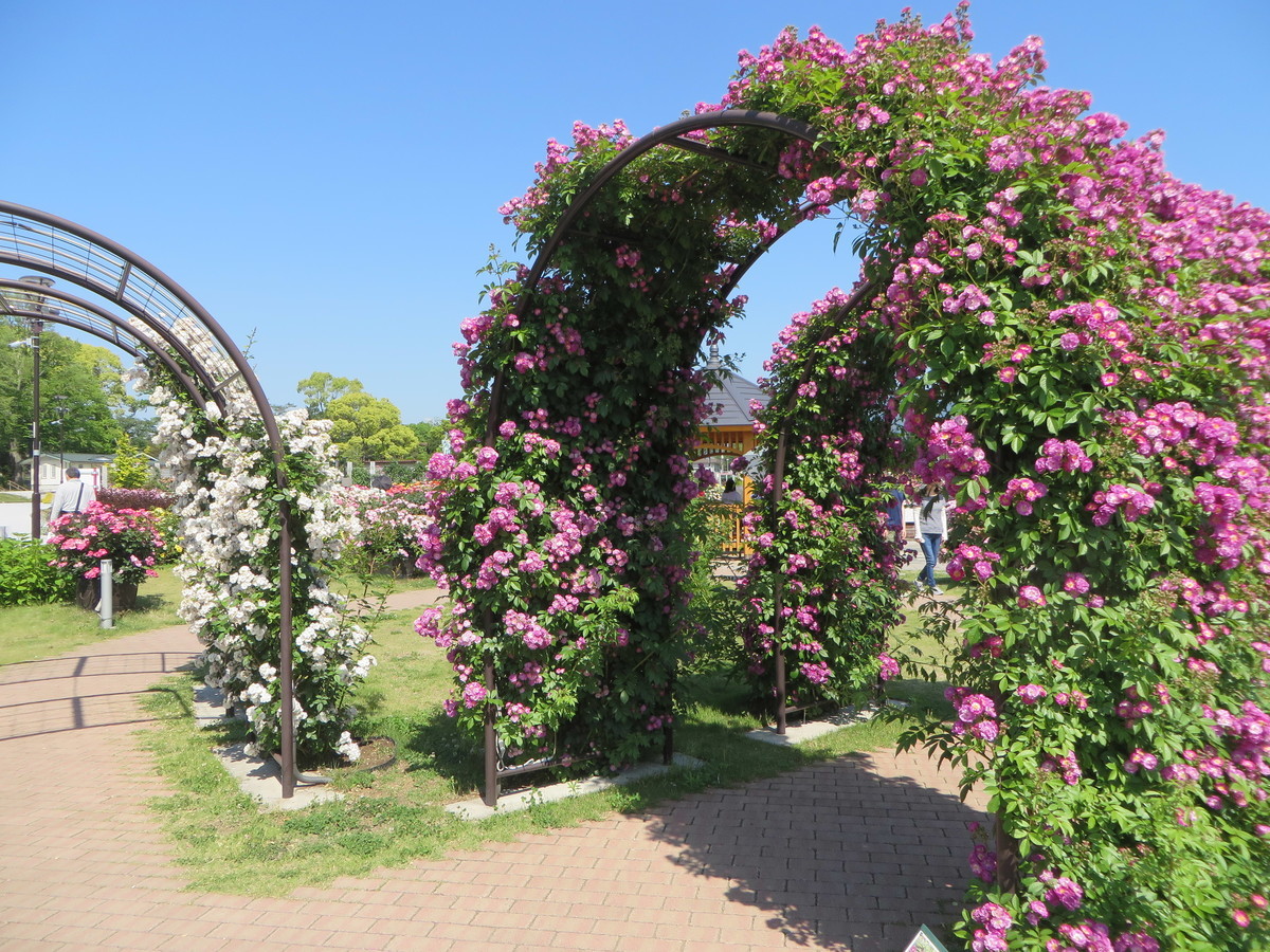 f:id:sasameyuki47:20190525085445j:plain f:id:sasameyuki47:20190525085445j:plain