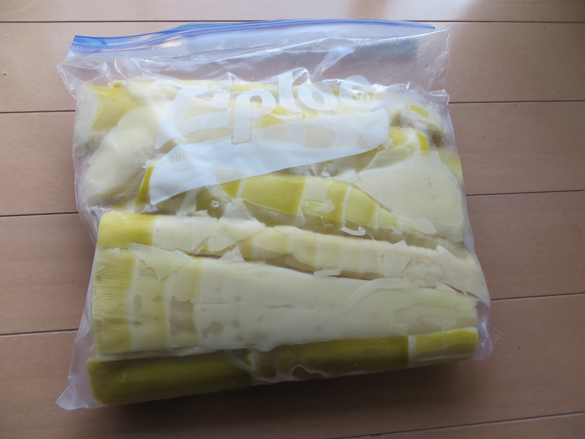 f:id:sasameyuki47:20190601162003j:plain