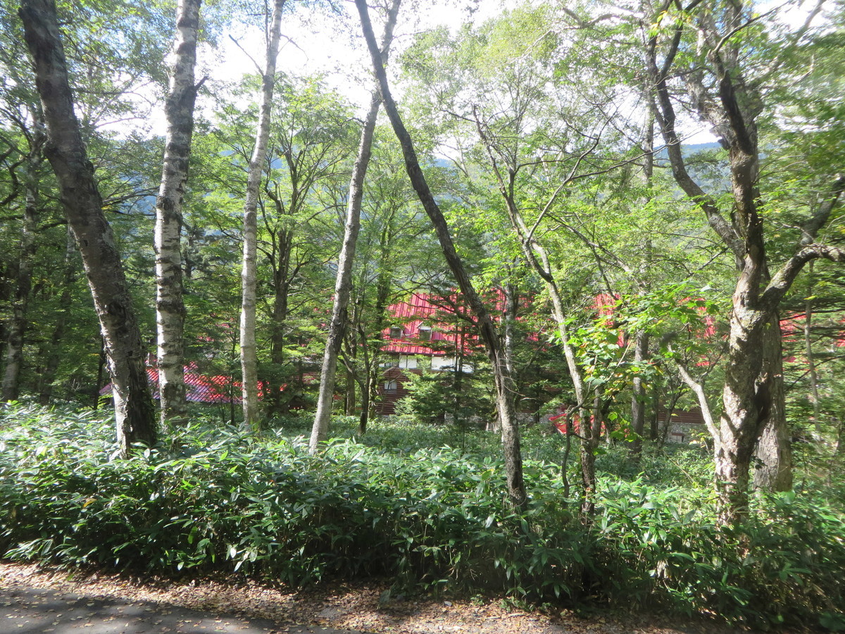 f:id:sasameyuki47:20190925140208j:plain