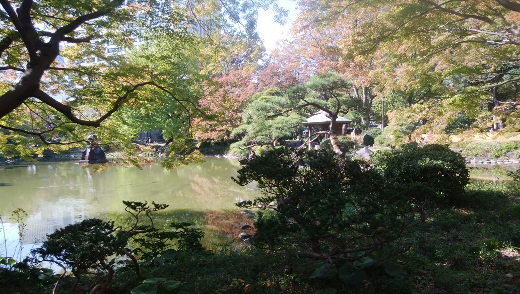 f:id:sasameyuki47:20191118171437j:plain f:id:sasameyuki47:20191118171437j:plain