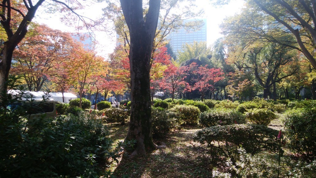 f:id:sasameyuki47:20191118172124j:plain f:id:sasameyuki47:20191118172124j:plain