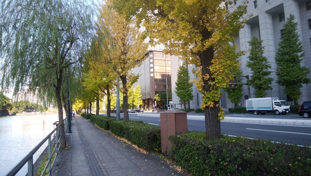 f:id:sasameyuki47:20191118172146j:plain f:id:sasameyuki47:20191118172146j:plain
