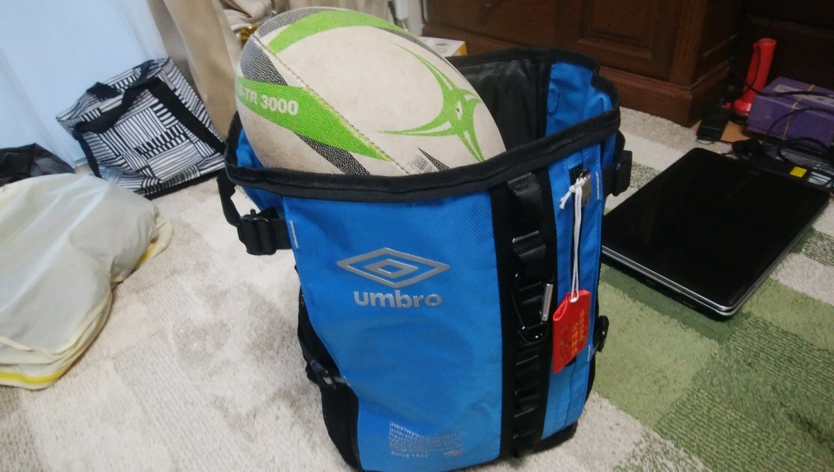 f:id:sasameyuki47:20200105113758j:plain