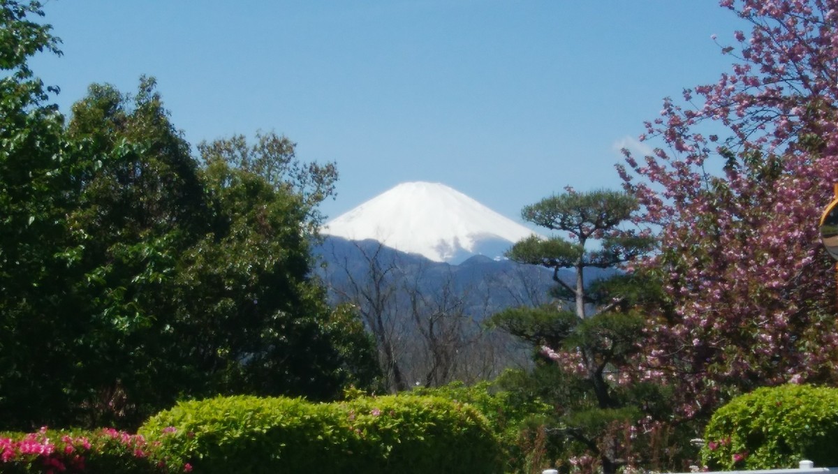 f:id:sasameyuki47:20200424212652j:plain f:id:sasameyuki47:20200424212652j:plain