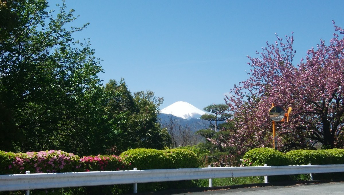 f:id:sasameyuki47:20200424214358j:plain f:id:sasameyuki47:20200424214358j:plain