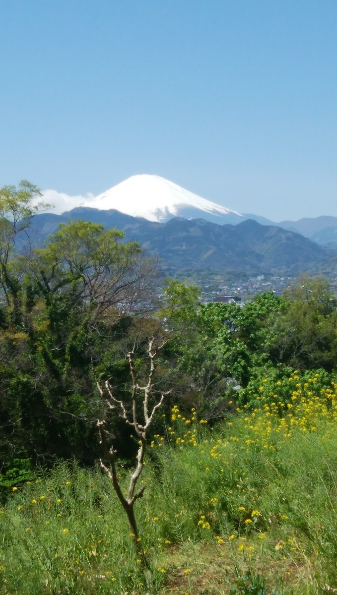 f:id:sasameyuki47:20200424214802j:plain f:id:sasameyuki47:20200424214802j:plain