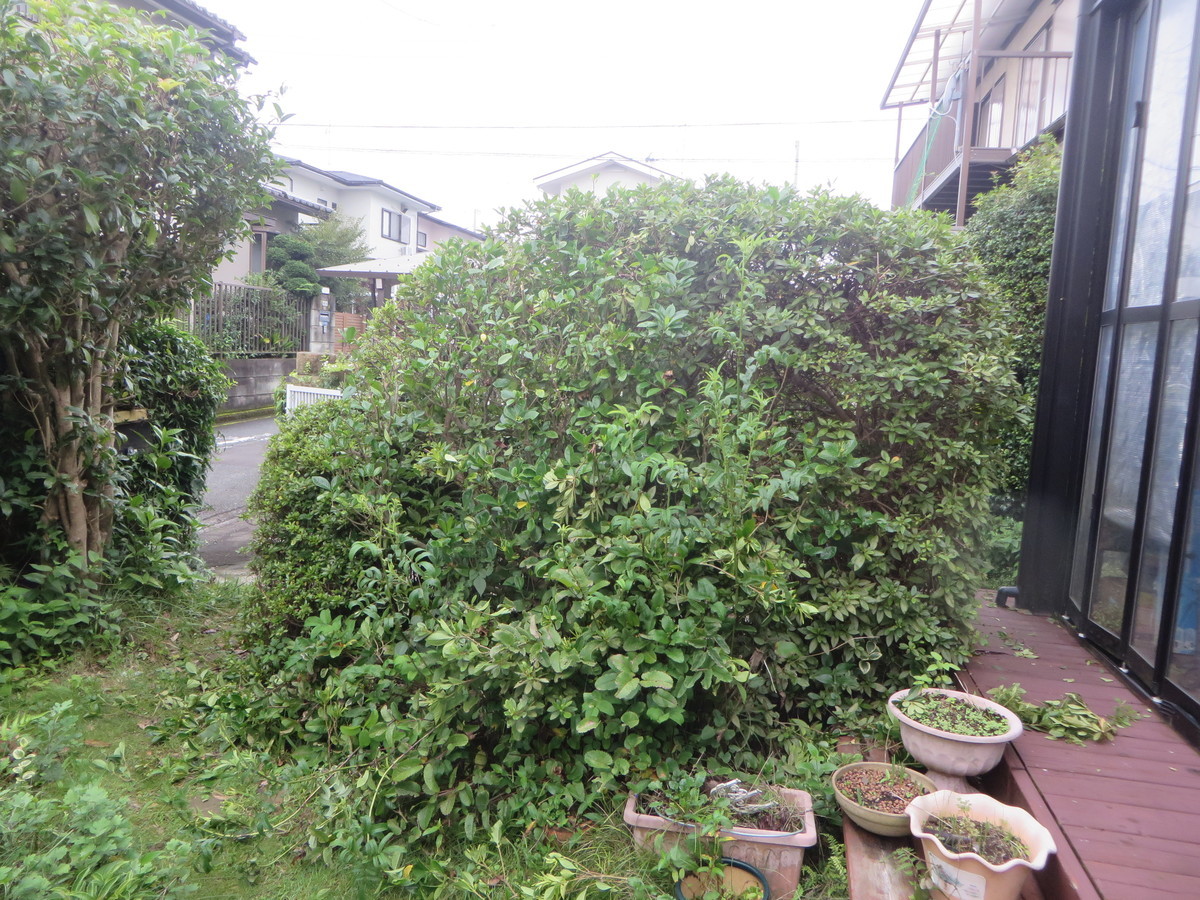 f:id:sasameyuki47:20200731124930j:plain f:id:sasameyuki47:20200731124930j:plain
