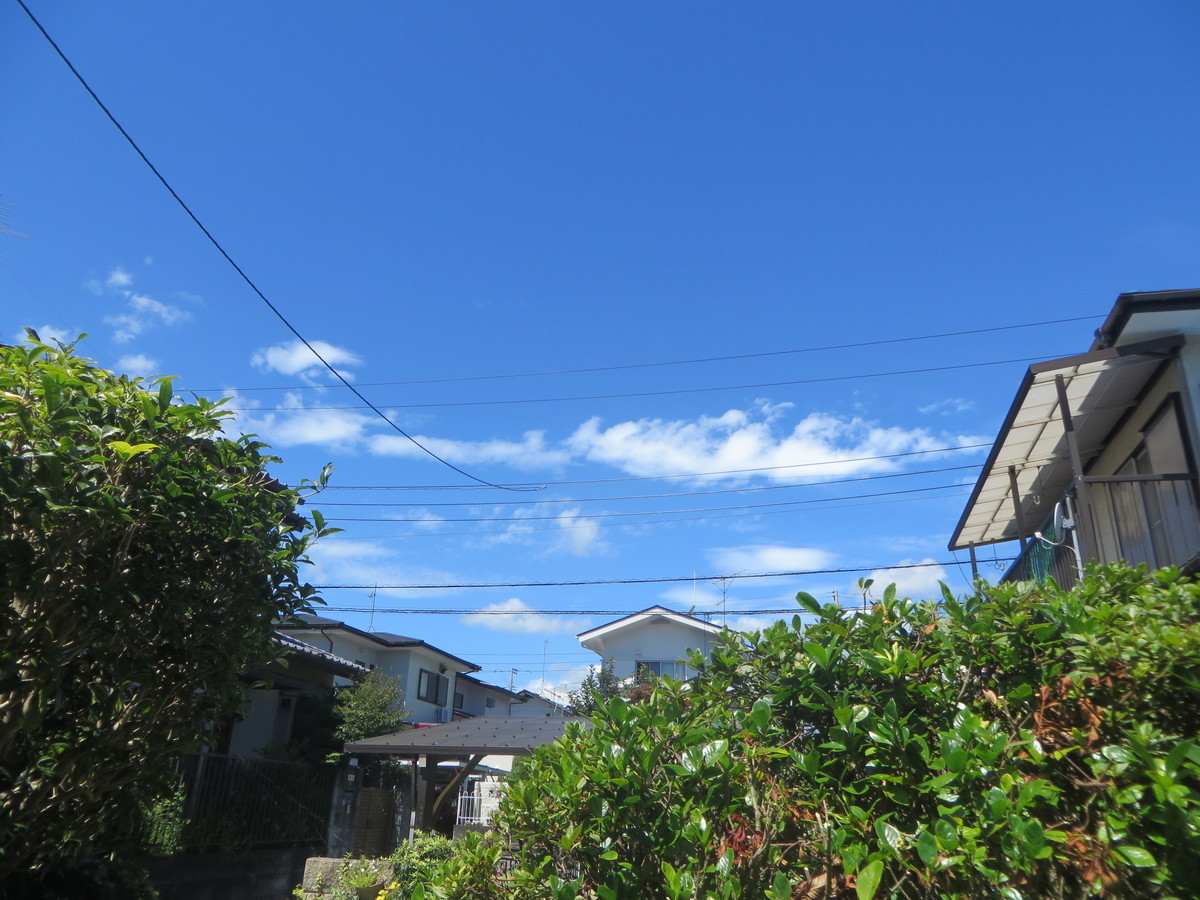 f:id:sasameyuki47:20200811103710j:plain f:id:sasameyuki47:20200811103710j:plain