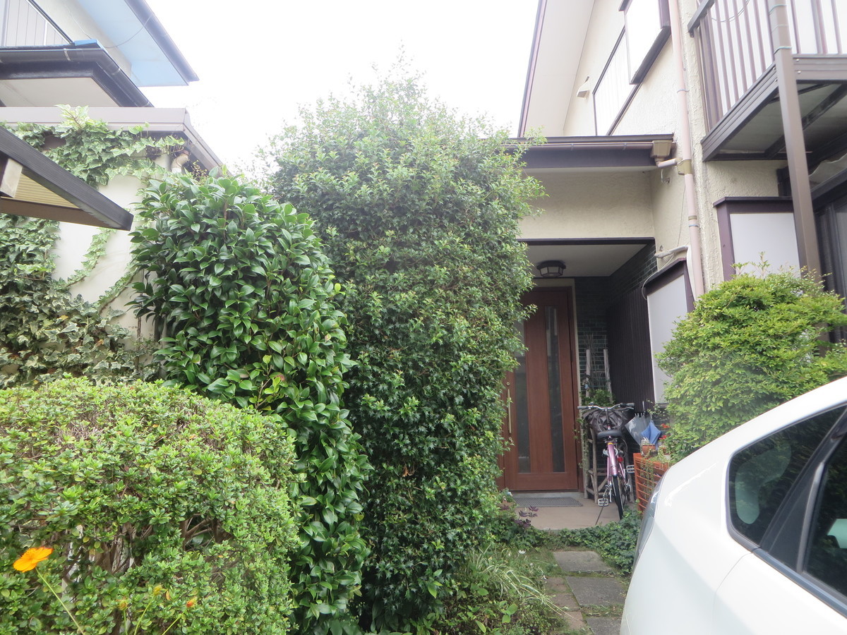 f:id:sasameyuki47:20200913101526j:plain f:id:sasameyuki47:20200913101526j:plain