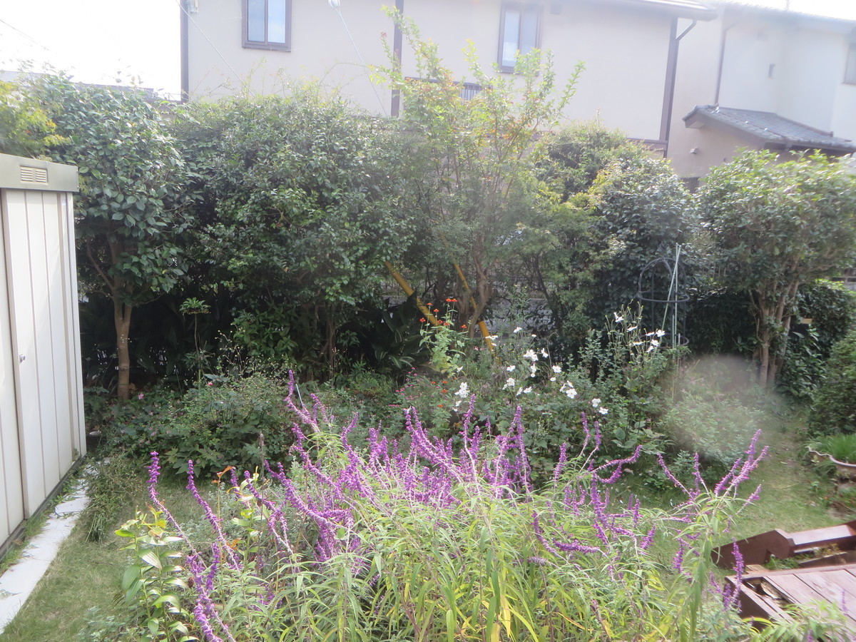 f:id:sasameyuki47:20201027134042j:plain f:id:sasameyuki47:20201027134042j:plain
