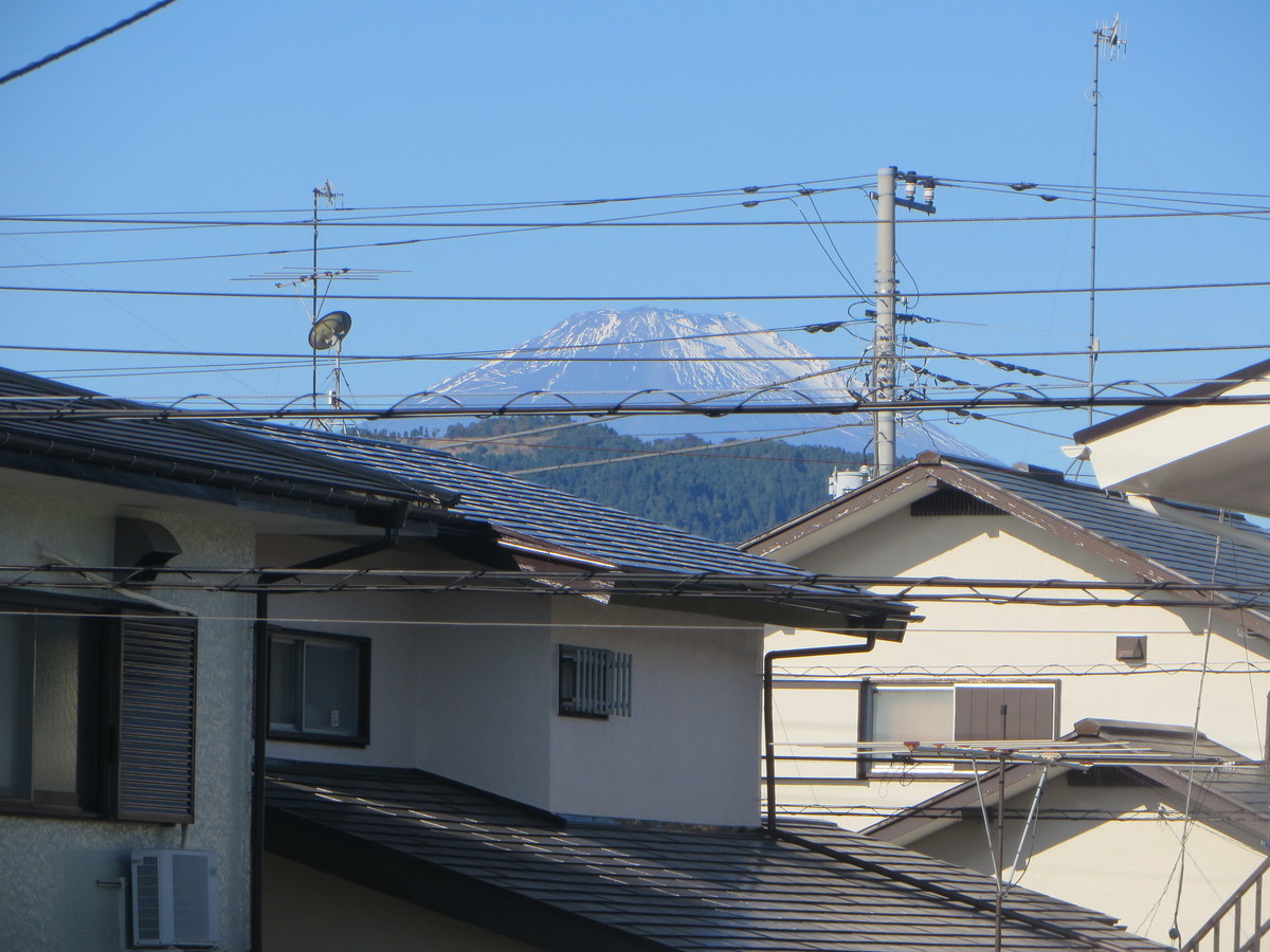 f:id:sasameyuki47:20201031082604j:plain f:id:sasameyuki47:20201031082604j:plain