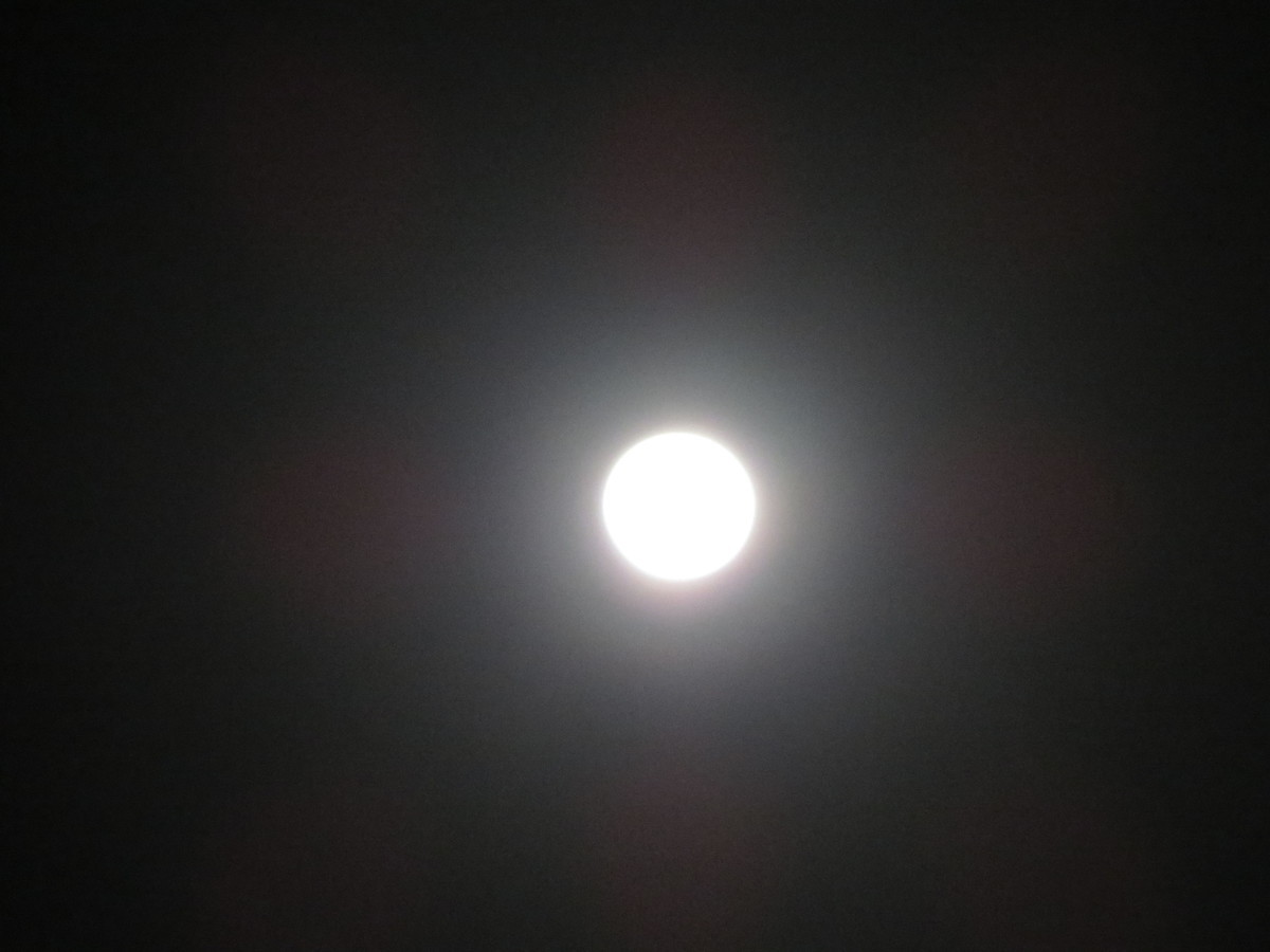 f:id:sasameyuki47:20201031231433j:plain f:id:sasameyuki47:20201031231433j:plain