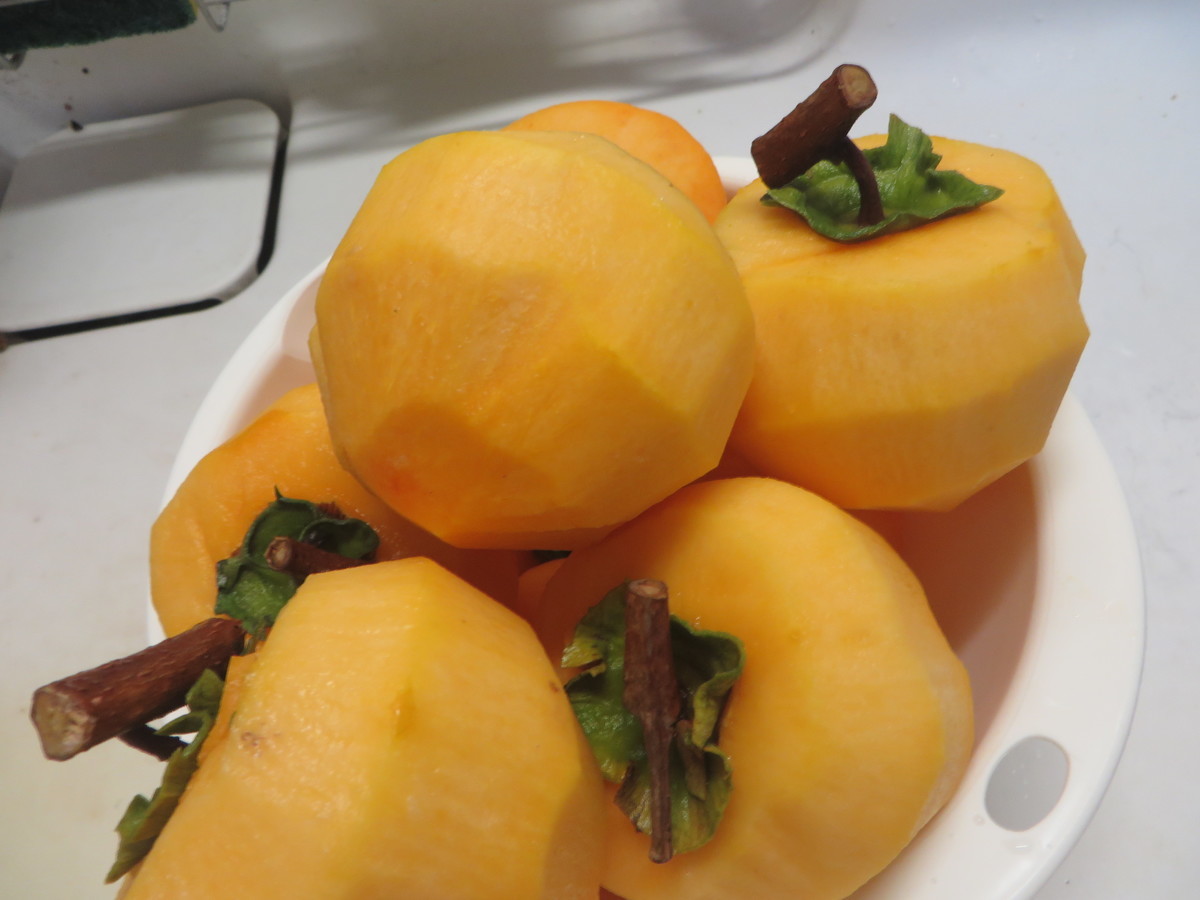 f:id:sasameyuki47:20201112140950j:plain f:id:sasameyuki47:20201112140950j:plain