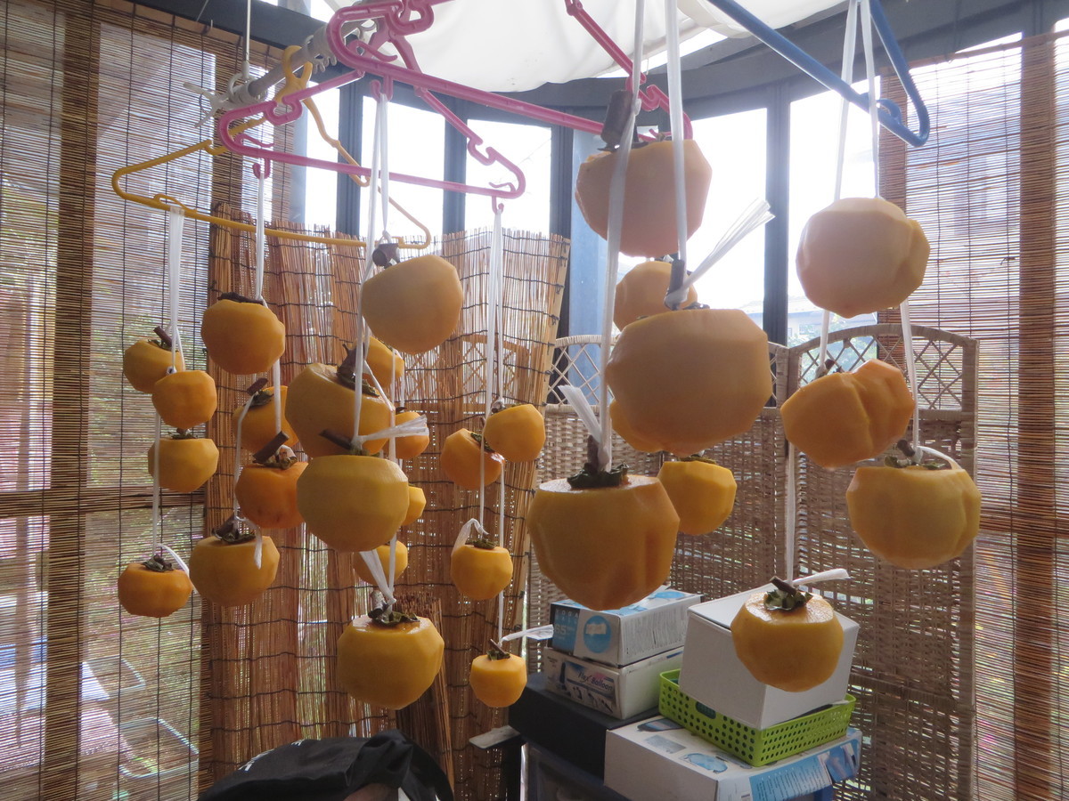 f:id:sasameyuki47:20201112153507j:plain f:id:sasameyuki47:20201112153507j:plain