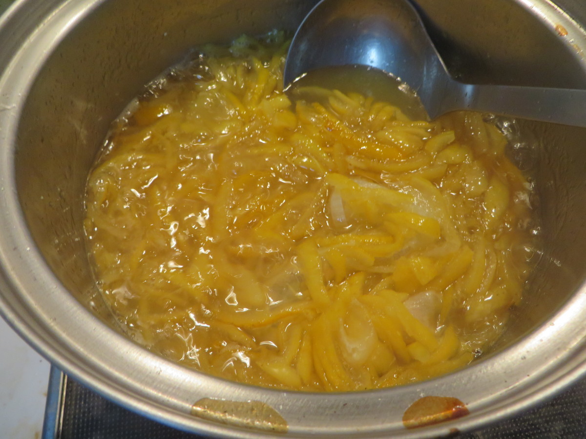f:id:sasameyuki47:20201209210511j:plain