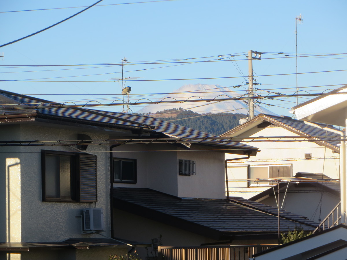 f:id:sasameyuki47:20201217074304j:plain