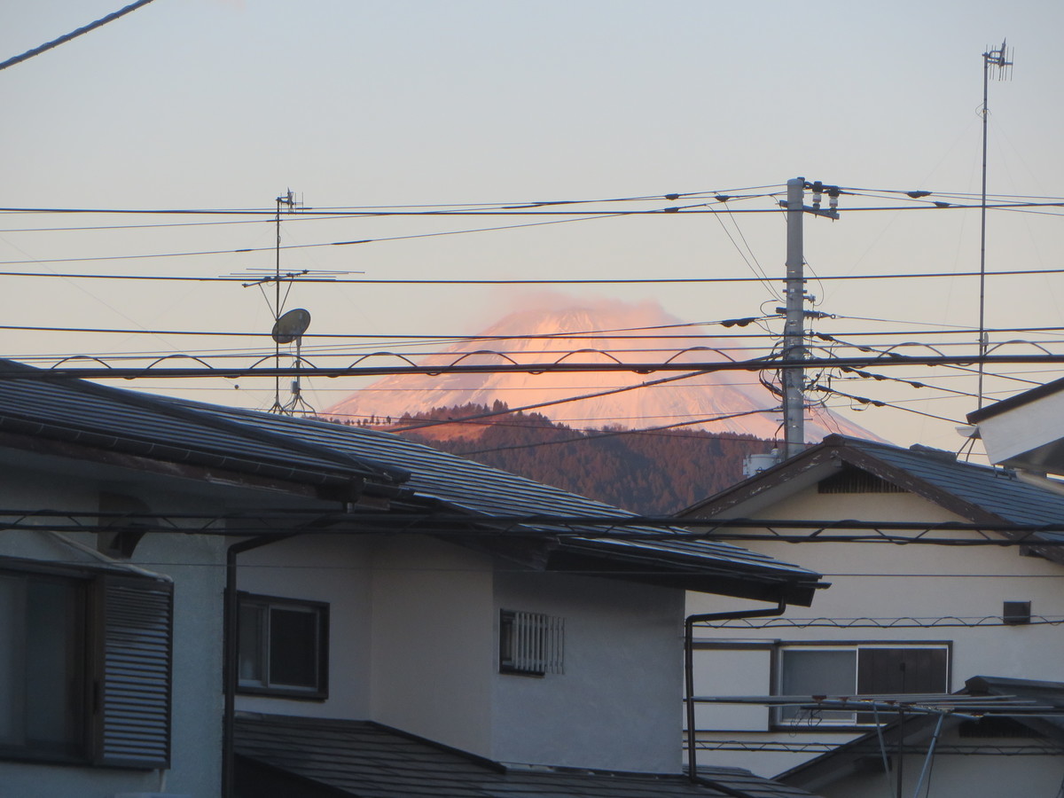 f:id:sasameyuki47:20210101065958j:plain