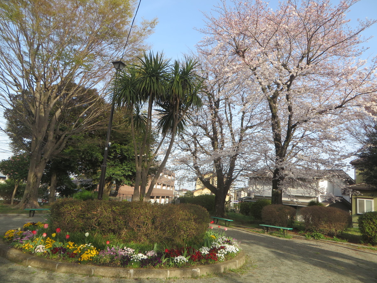 f:id:sasameyuki47:20210329162741j:plain