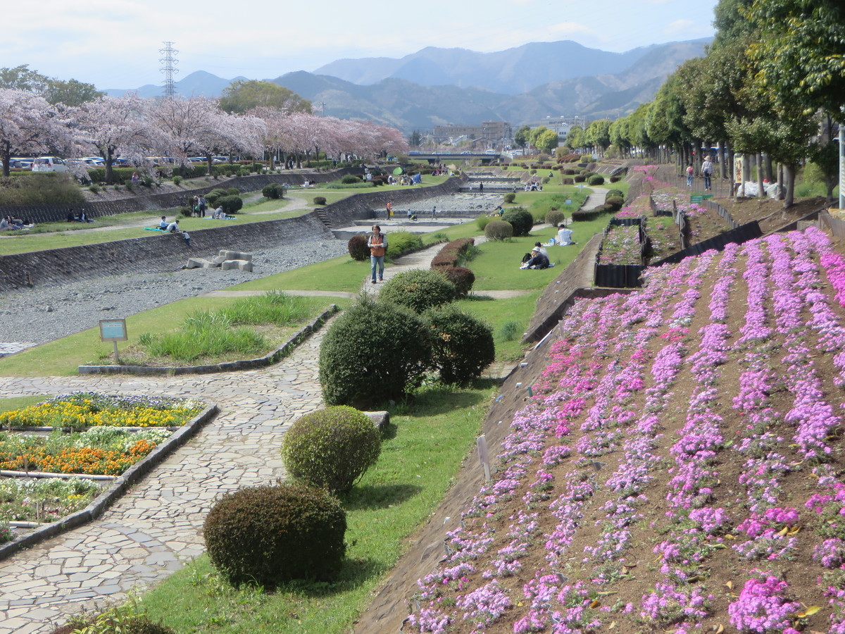 f:id:sasameyuki47:20210403134322j:plain