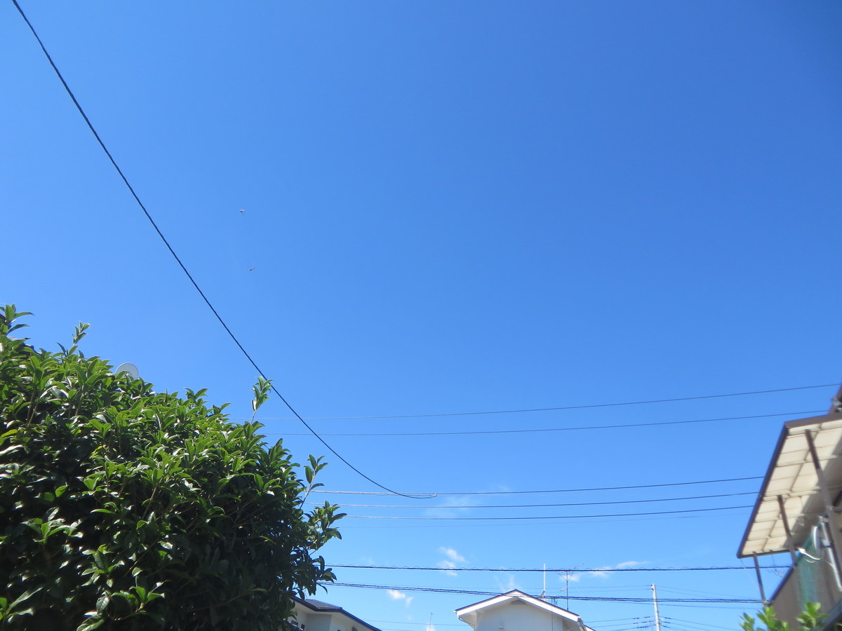 f:id:sasameyuki47:20210919104538j:plain