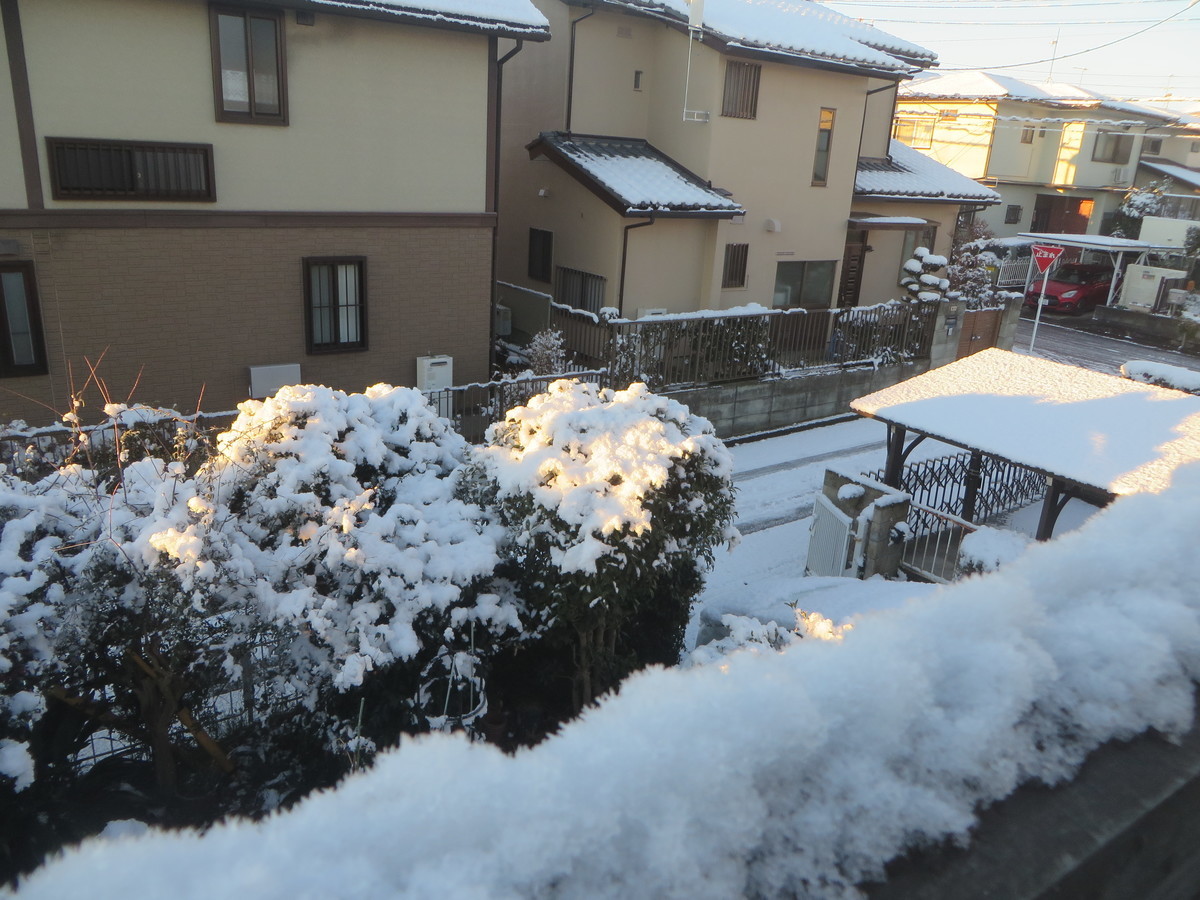 f:id:sasameyuki47:20220107071748j:plain