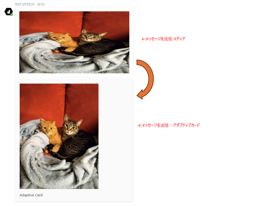 Copilot Studio で作成したコパイロットで画像を表示する際に画像の