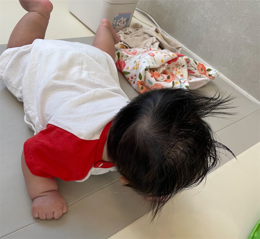 f:id:sasamimaind:20250917112132j:image f:id:sasamimaind:20250917112132j:image