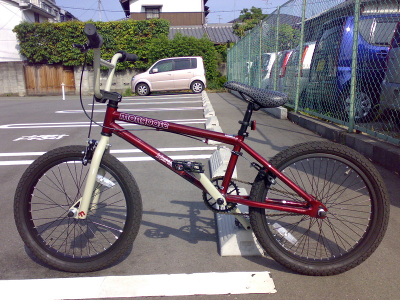 mongoose menace 2009