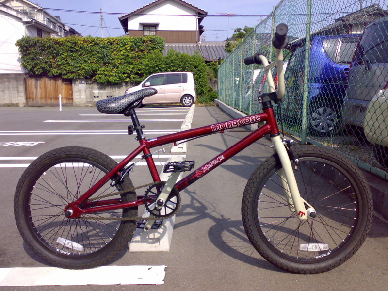 mongoose menace 2009