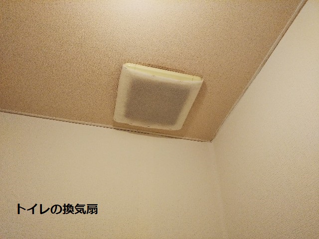 f:id:sasasan0424:20210624171201j:plain