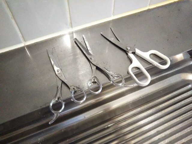 切れ味が悪くなったハサミを研石で研いだら 余計に切れ味が悪くなってしまった 話 原因と研ぎ石でハサミを研ぐときの注意点 暮らしの土台を整える