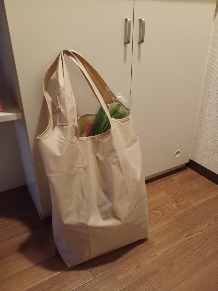 ご確認 エコバッグ3 スリーコインズ(3COINS)】使いやすくてデザイン色良！大容量「ビッグ