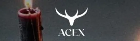 【厳選】ACEXはどのポイントサイト経由がおすすめ?付与率を比較してみた!