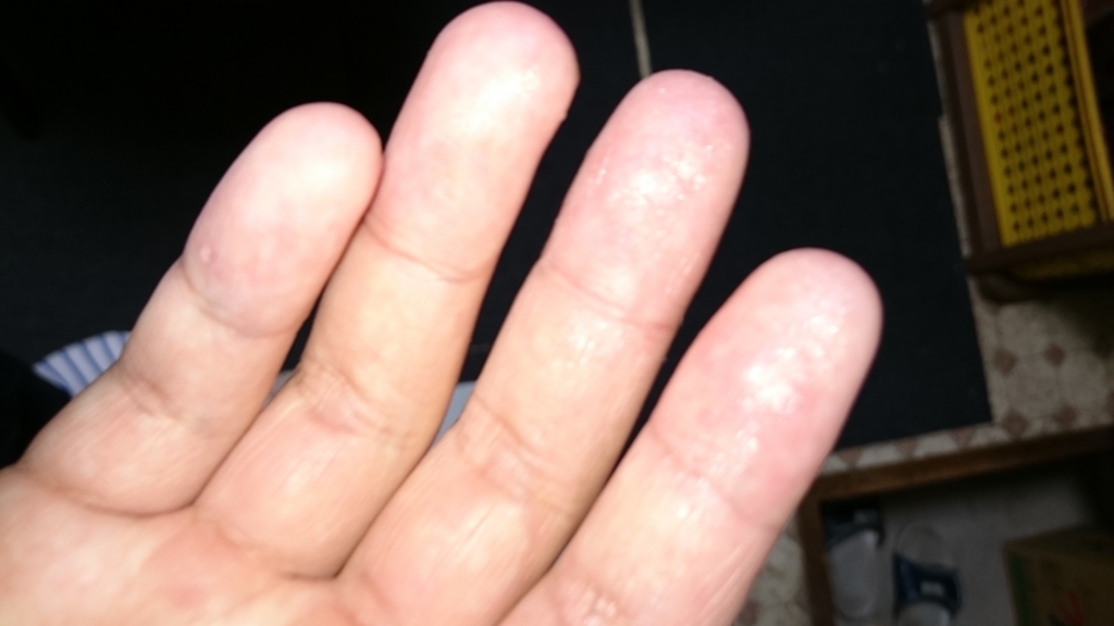 f:id:sasashi:20170128204147j:plain